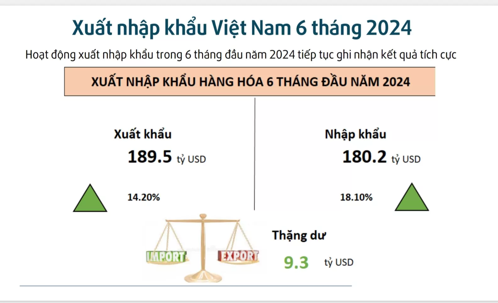 Xuất nhập khẩu Việt Nam 6 tháng 2024 (Nguồn: Cục Xuất nhập khẩu, Bộ Công thương).