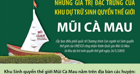 Những giá trị đặc trưng của Khu dự trữ sinh quyển thế giới Mũi Cà Mau