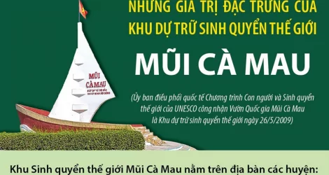 Những giá trị đặc trưng của Khu dự trữ sinh quyển thế giới Mũi Cà Mau