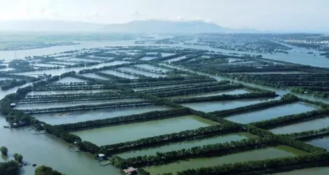 Bình Định chấm dứt hoạt động Dự án Khu vui chơi giải trí Đầm Thị Nại