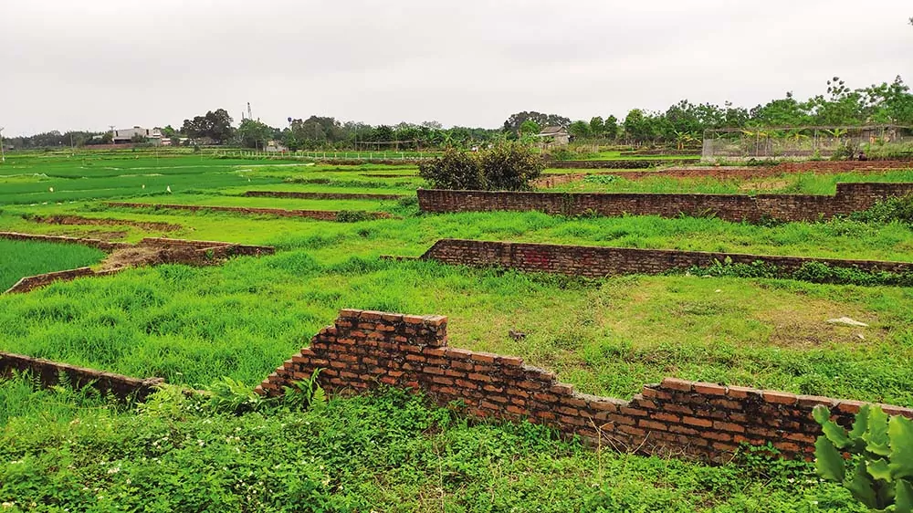Tác động khi bộ 3 luật mới có hiệu lực: Phân khúc đất nông nghiệp sắp “sang trang”